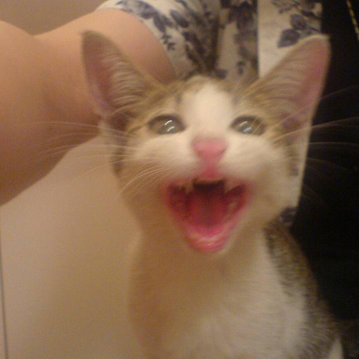 Cec79d9e 31cf 4fd6 9ce7 205a8dad3597 1737853315568