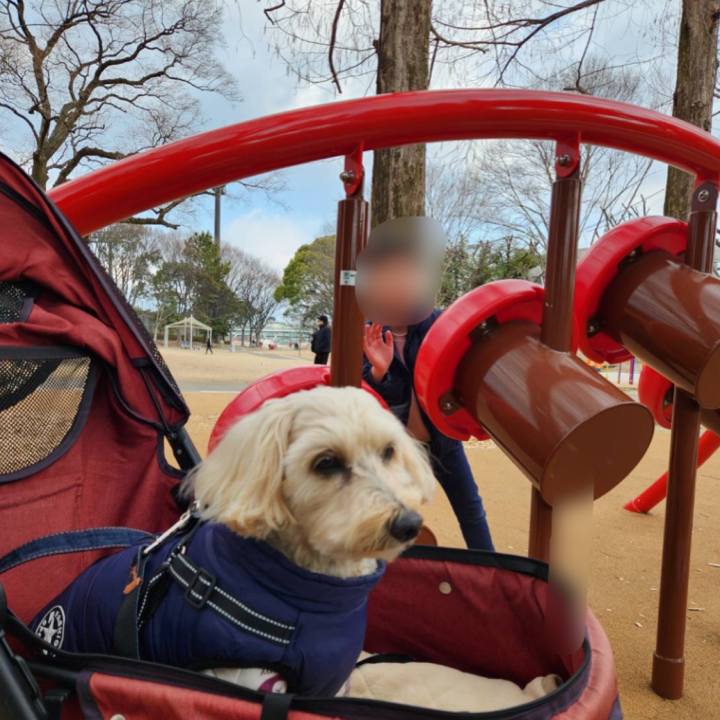 Cec7b4f4 9784 46b5 bc08 f37ea86e687b 1769241513714