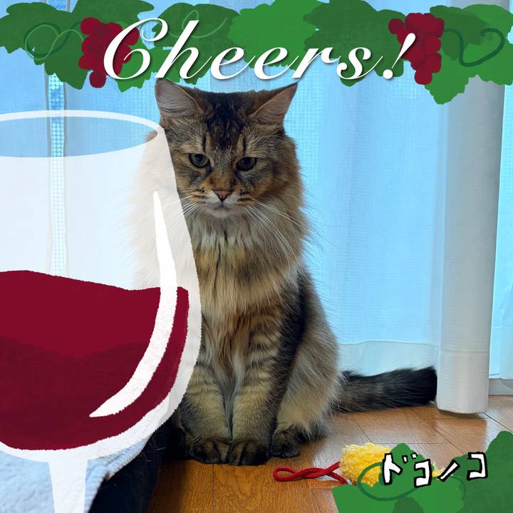 Cec7e234 e225 4075 90d6 3888c2feda8d 1761276023833