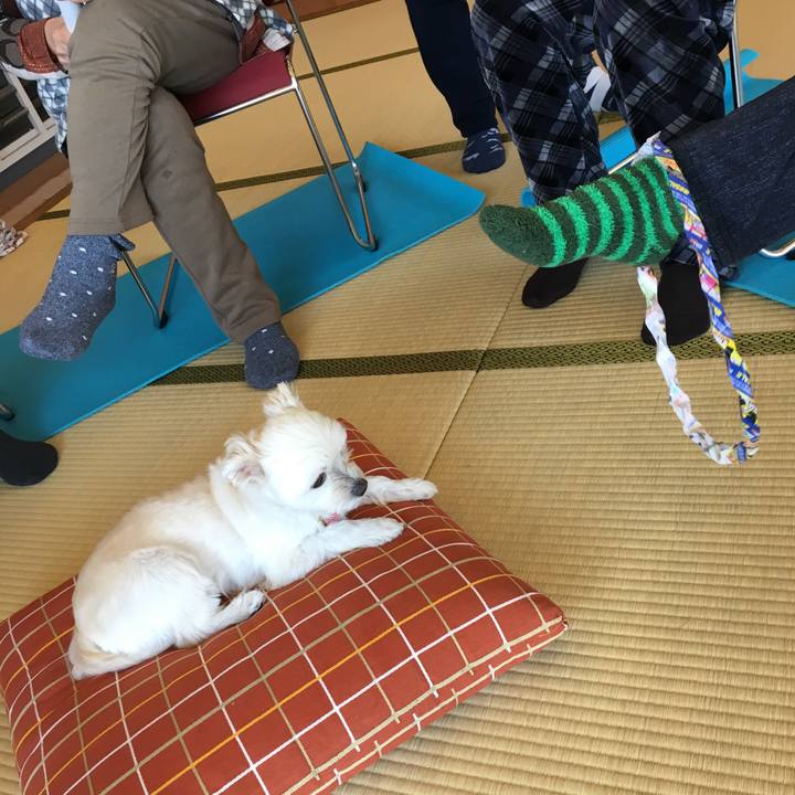 Cec817a0 f752 4a27 8e3a f7e55590ba1f 1517196094094