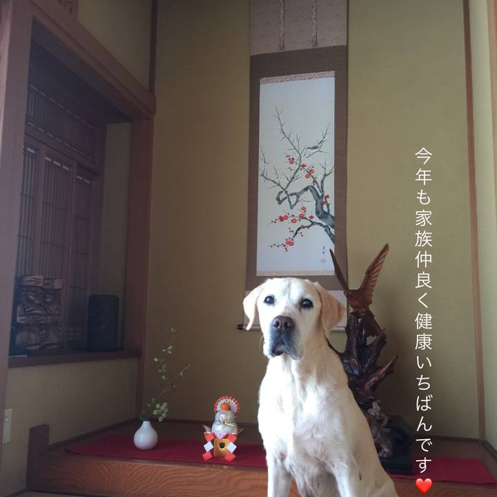 Cec829bf 8ae1 452a adaa 40b1f29f3f9a 1514732731473