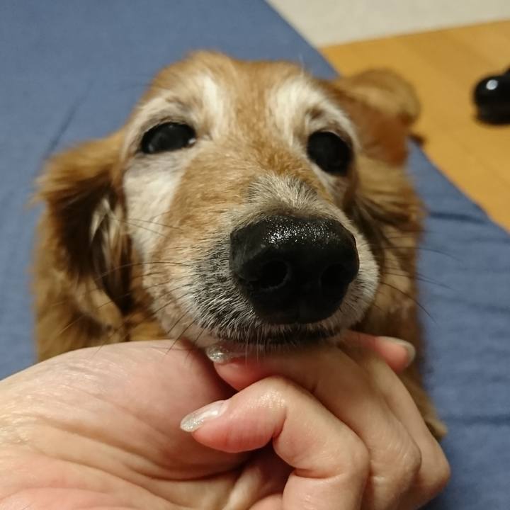 Cec82dda 21f4 4fc3 a144 d140e8a4c635 1602779390612