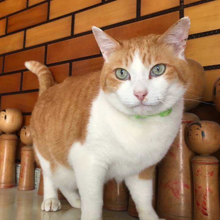 Cec8767a e269 4e9b a153 f5f530d39fe4 1558129711066