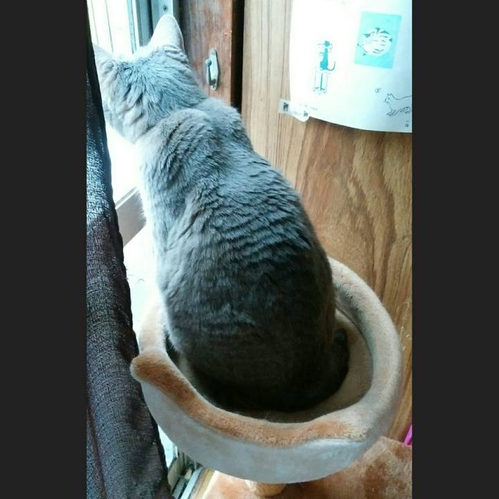 Cec88f49 b390 4769 a79a eb9d9cccbc37 1593815452878