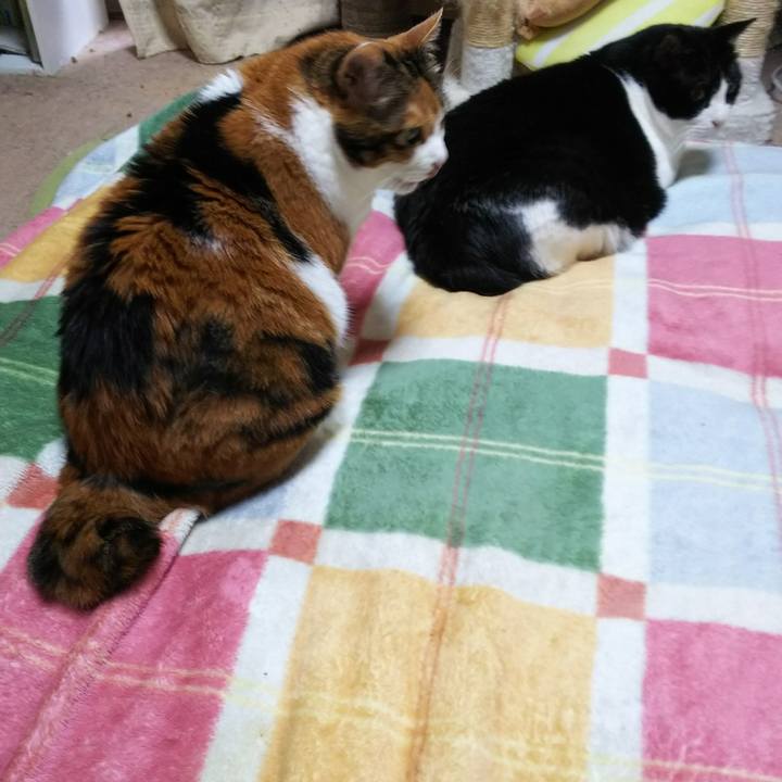 Cec89072 17f1 4267 abd1 26b6011042e9 1540762587081