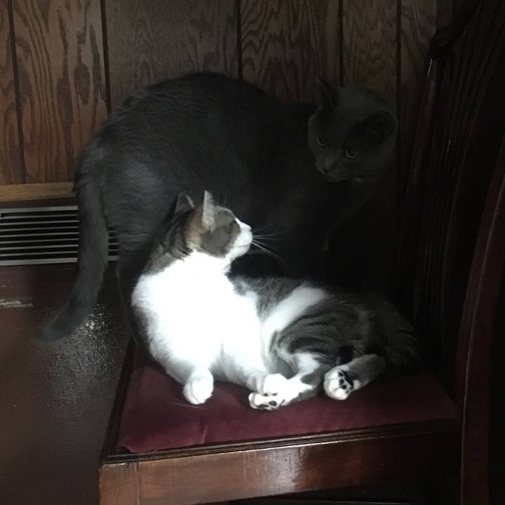 Cec8941d 838d 421e 8d89 fe4d70339491 1633794675180