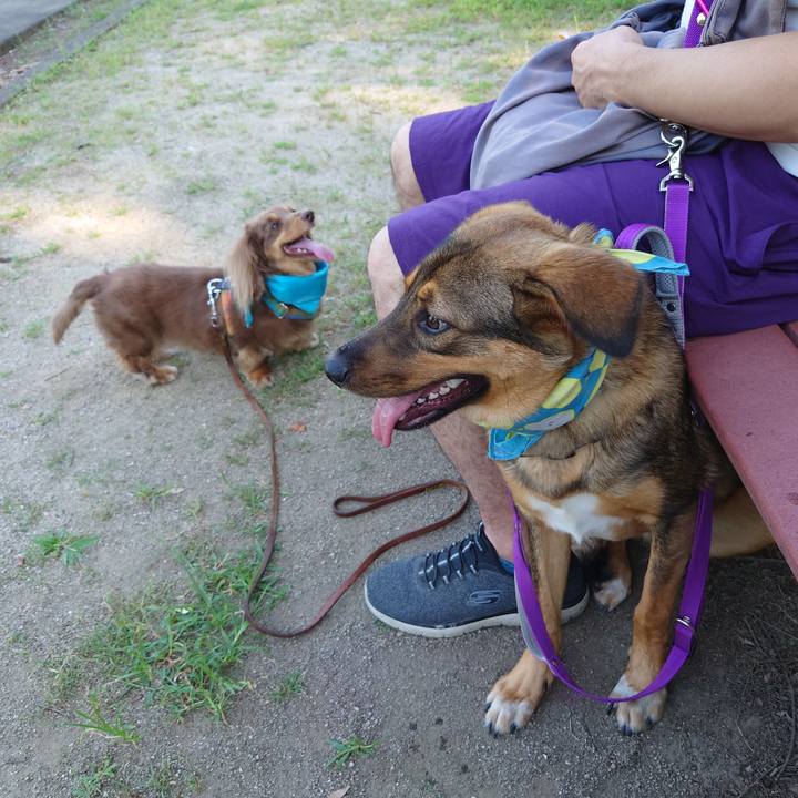 Cec8cf5e 699e 4dd3 bc44 bfbbaed17f08 1690675709035