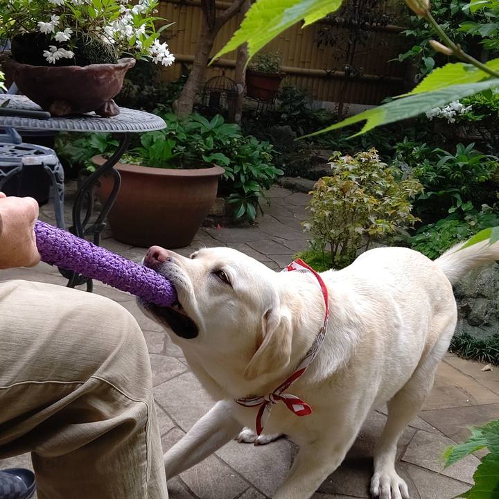 Cec94a75 237f 42e5 8825 d4e8ef8e02b5 1618564233155