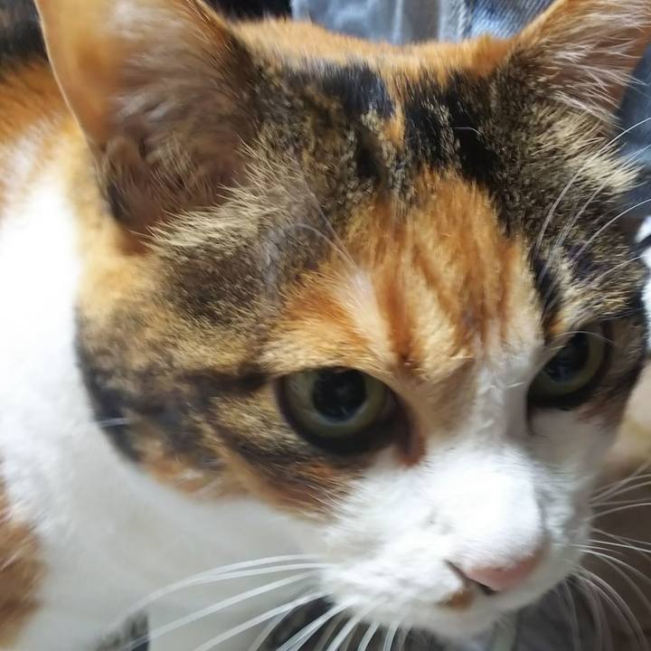 Cec96b0b 7126 4f03 a6fb 39c426482df5 1572558678149