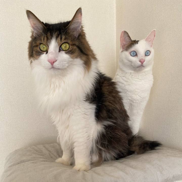 Cec9b479 3a13 4383 b4c4 fd5ed43f4523 1670885529100