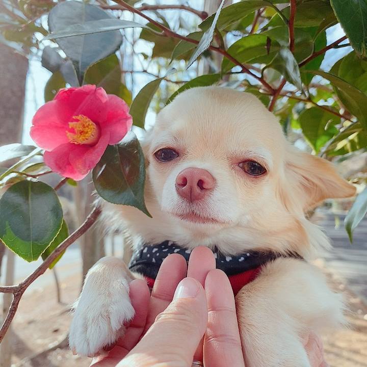 Cec9d605 ef42 4d22 b045 80a8fe568582 1613286475820