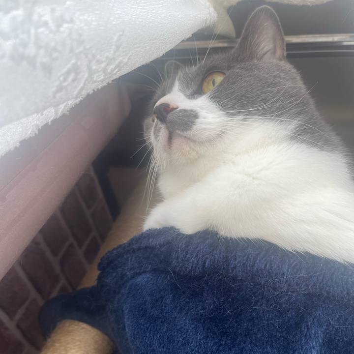 Ceca0b0c 49ef 4356 955b 83f2657b9b8f 1691800588182