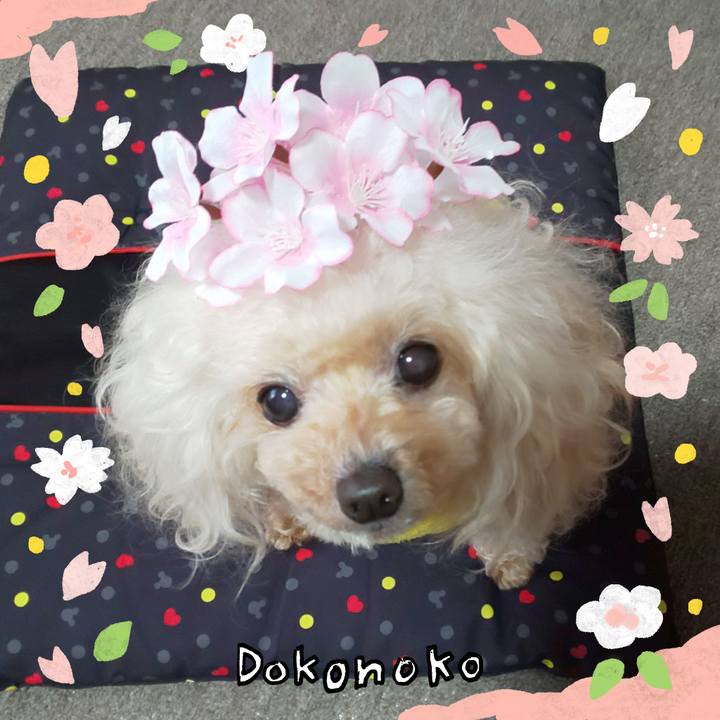 Ceca3997 c716 436b a735 4f9a38818d2e 1711582293446