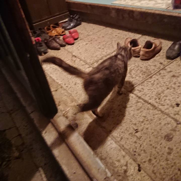 Ceca41c1 4b50 48bc a7ef 993d46cb5cd9 1570438643418