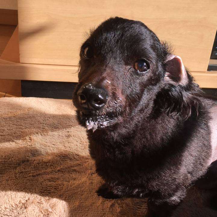 Ceca8d29 ff5c 4985 9b83 d371ae910c09 1557179749733