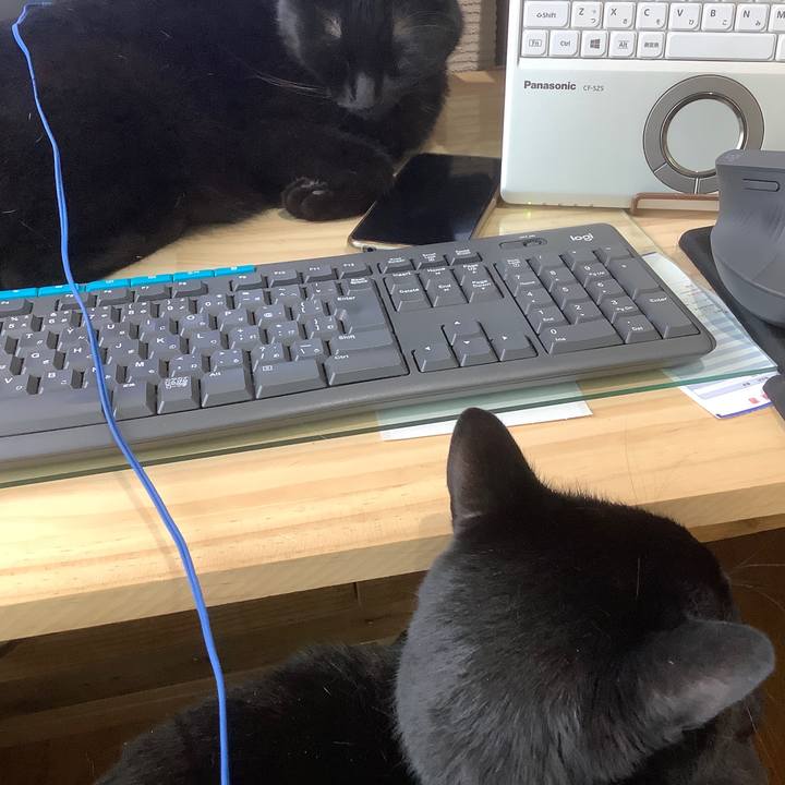 Cecaa100 37e2 41fa 9ba0 a664f3f93909 1622435660471