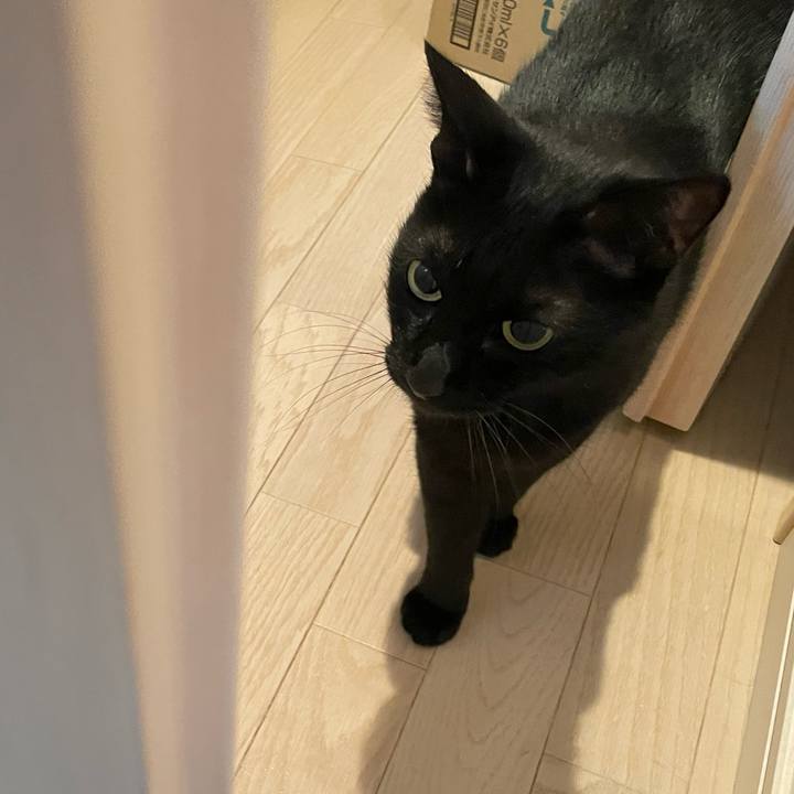 Cecab569 fadd 4b0e 98e0 a8858e435ab3 1759496039039