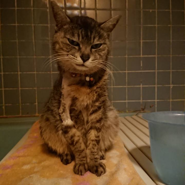 Cecabcb2 f6bf 4c61 a0d2 5ade86f1e574 1589538214680