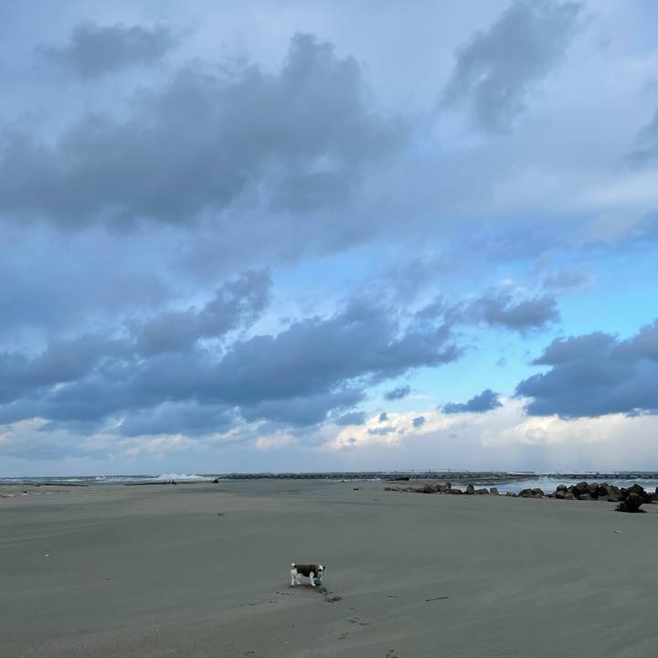 Cecb213d 1b79 4952 9e2a a6b2ac288fd8 1612053243679