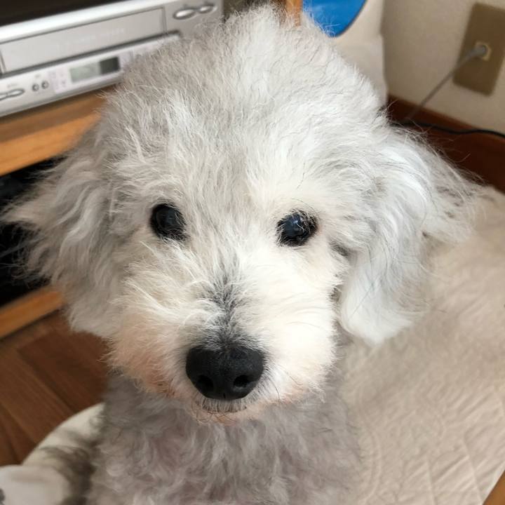 Cecb3479 975a 4cbc 87e0 1e6352a4e267 1629873625435