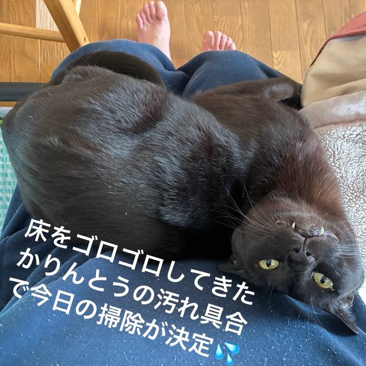 Cecb476e d6e9 481e af38 1282824ff4d7 1743288251600