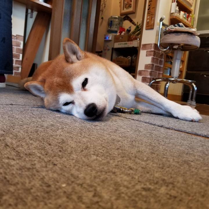 Cecb5f3a b5d0 4f35 91ec c0ce587168e9 1636758489185