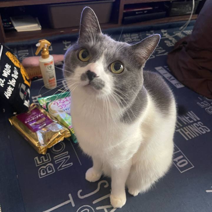 Cecb622e 6a9b 4ea1 aece 42efce719ef4 1708826344950