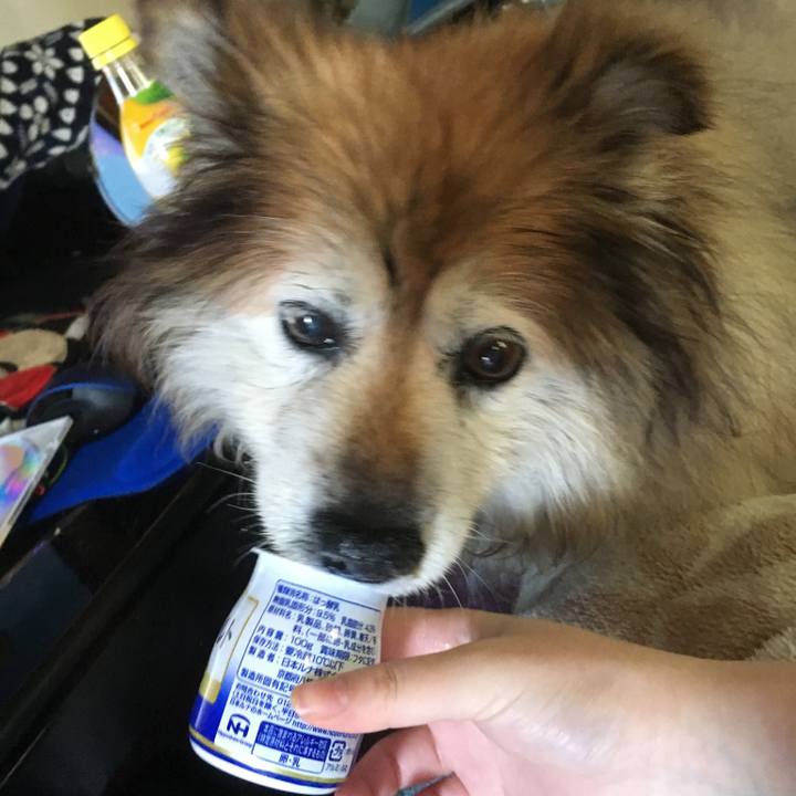 Cecb838b 0699 423c b6fa ed7312d81313 1593522675197