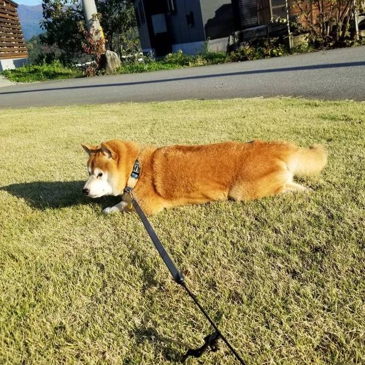 Cecbadc1 71b0 42d6 8a92 d044c03dab3e 1572244004653