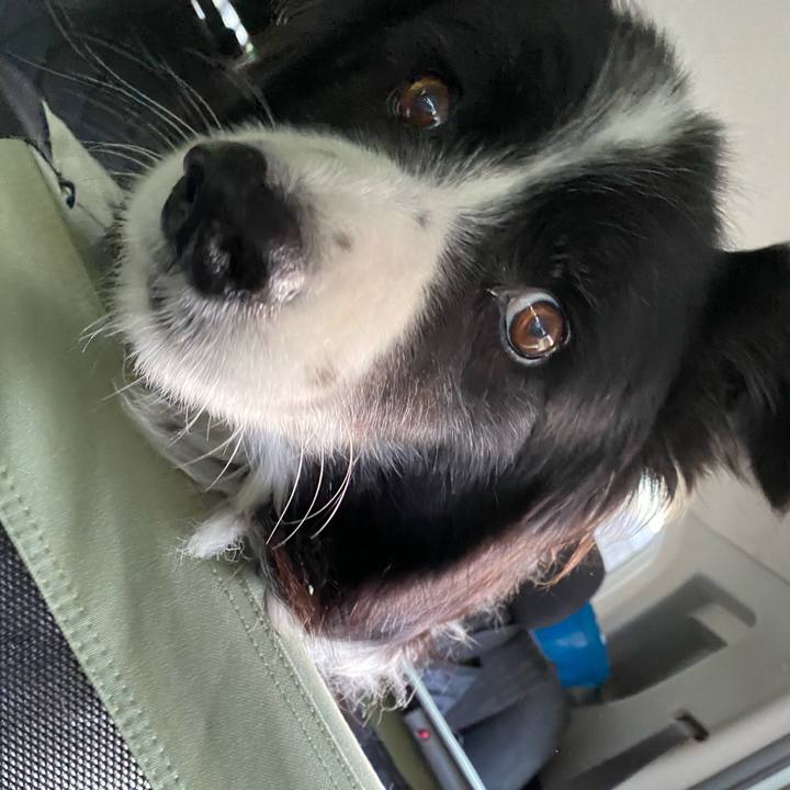 Cecbd016 59b3 4d30 81e6 c257c9e7a417 1667081561758