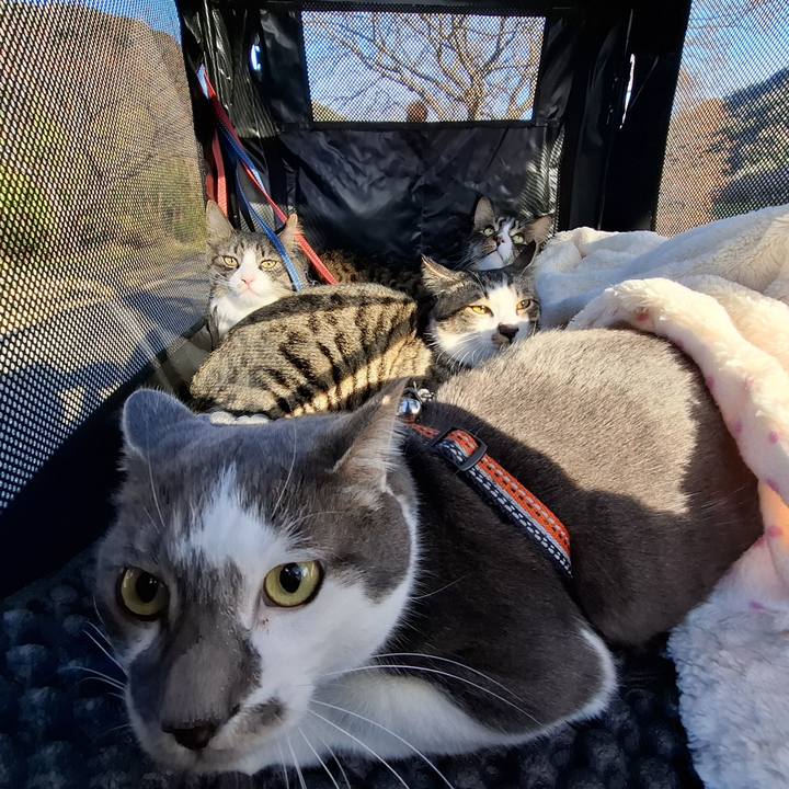 Cecbd5b1 8873 4ef9 8531 f3d68a0a7af4 1739941603803