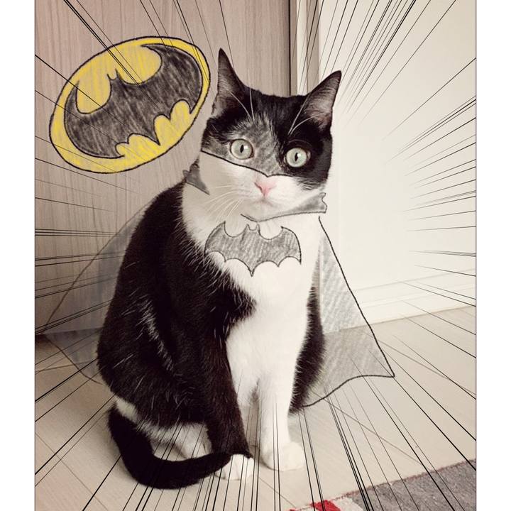 Cecbf669 68f1 4b0f a014 2b6c30f60604 1589673067014