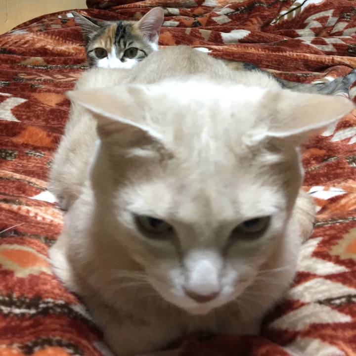 Cecbfa0c 75f9 4525 8b8d c647b9f07833 1638851088075