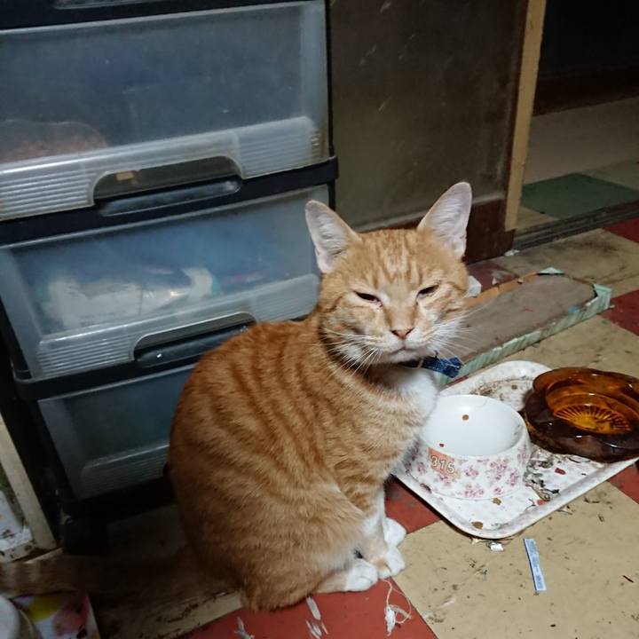 Cecc118c d6e6 4183 9abf 70985cbd8ade 1568317486702