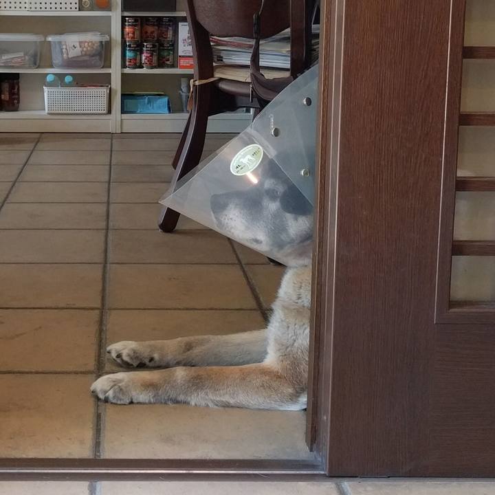 Cecc2ae1 72c6 42c7 ba4b 5f6dd62bf63d 1524719416434