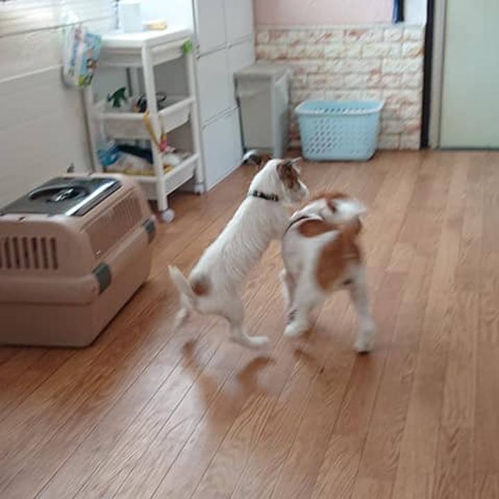 Cecc3952 f8db 4dc1 87b6 c6d4209c10eb 1564716335104