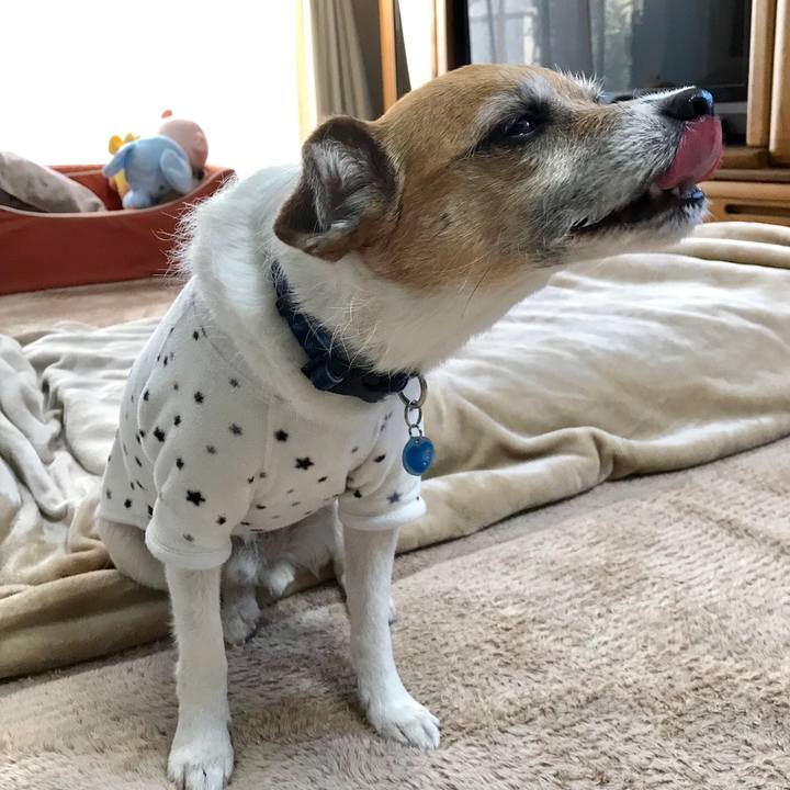 Cecc48b2 c57d 4216 8dde bf8e1a8cf207 1554245796590