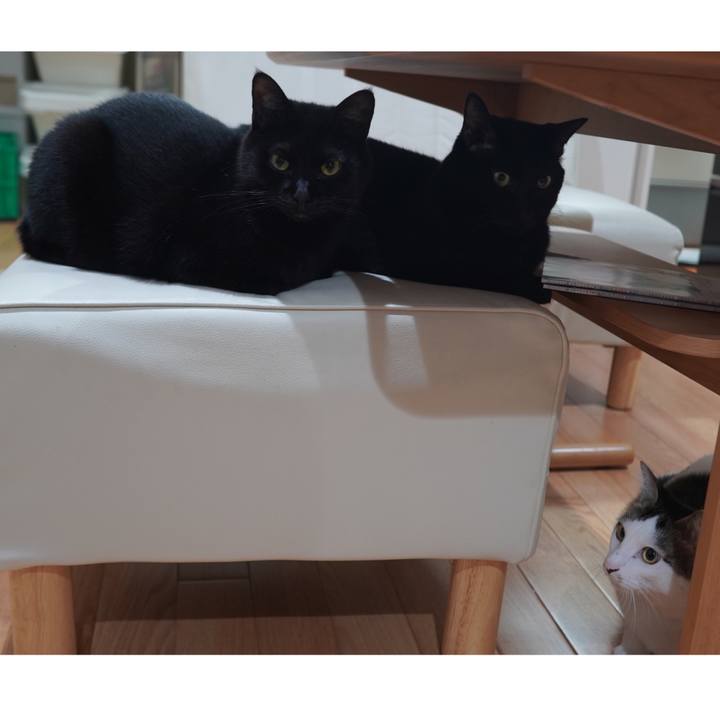 Cecc530c 77a1 4a9a bb94 ed6127956d5d 1600956788312