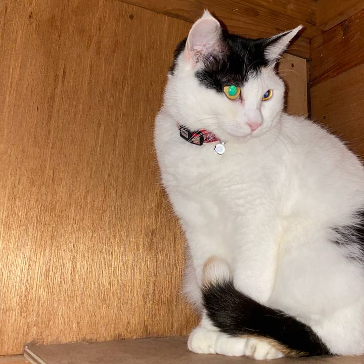 Cecc63d7 b60e 4842 b2fe 15e057dab686 1668940821111