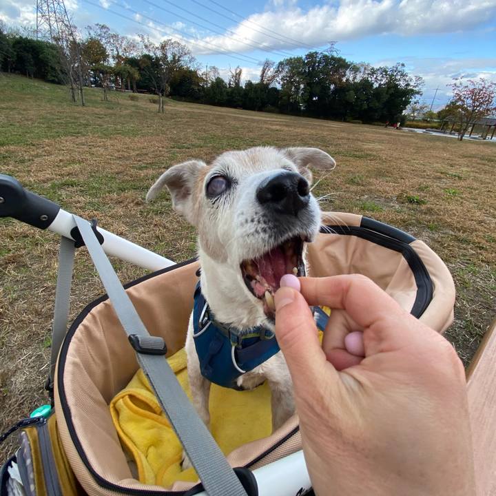 Cecc6b8d 9f04 4412 a078 6ed52f479888 1670739829607