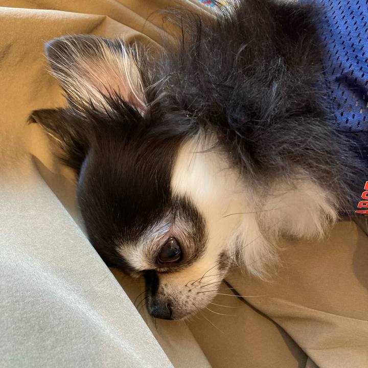 Cecc7b48 dce1 4c0a 860c 58c6f194352d 1717915135582