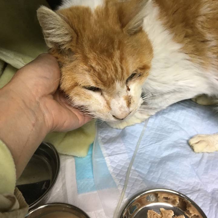 Cecc8022 6d06 42cb acbd 752ee0db677f 1543222931222