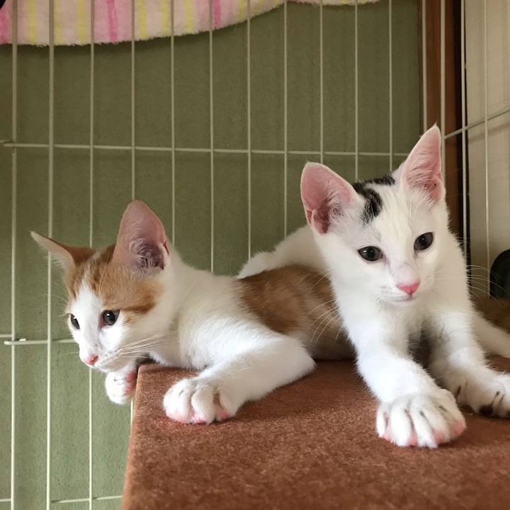 Ceccd2b9 c30b 4a72 a240 7492d8160da7 1563664375798