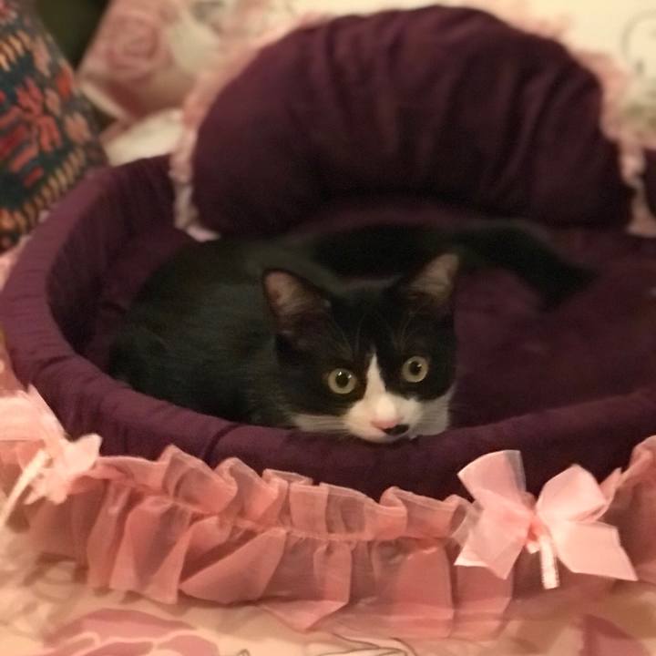 Ceccdaf3 0261 4fd8 996a c10d06d55052 1511103256824