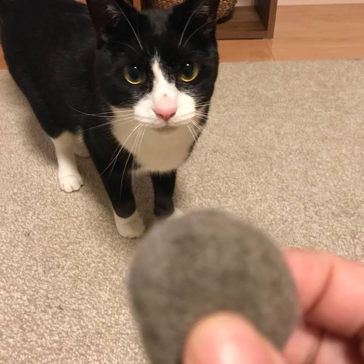 Ceccf969 162f 4bf5 a71d 61f7b09dca1b 1526643094133