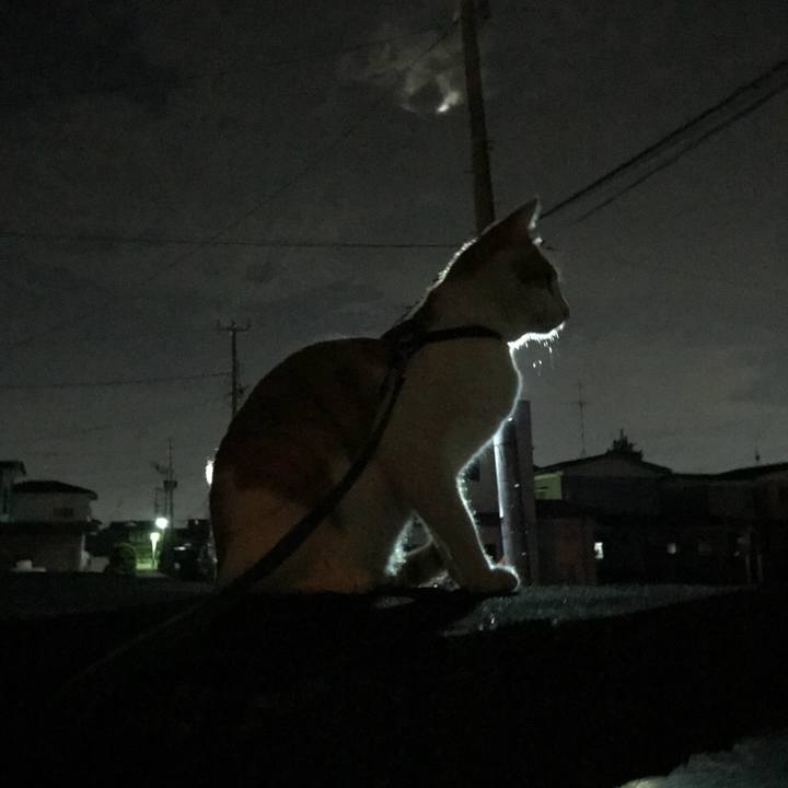 Cecd2469 a850 4fd9 9864 62b73e1def9a 1509108158560