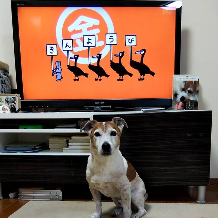 Cecd3ad9 3dbe 40f7 9564 87cb0e8572a1 1553205941897