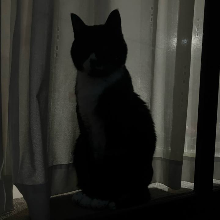 Cecd6de1 bd88 4e7a 923f ff3eaf229f54 1770627054806