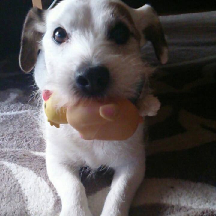 Cecd8e3a 91d9 4d4b b555 e3e725c9f132 1521763639664