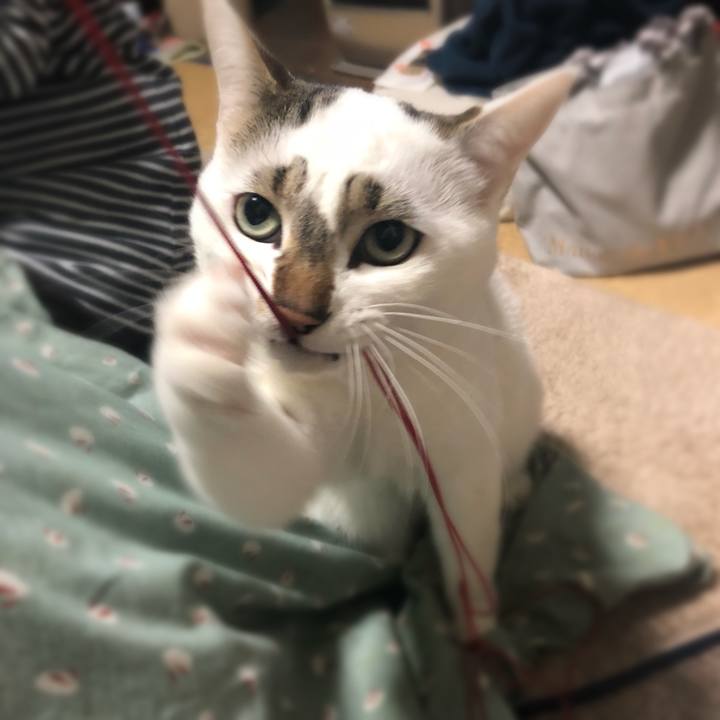 Cecd8f89 e564 49b9 aaae ac934a308dca 1520424443709